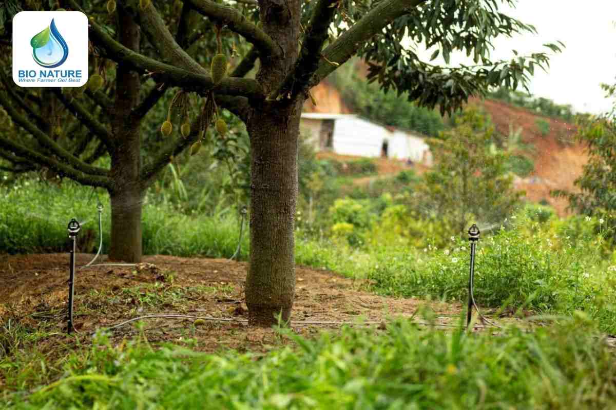 Điều chỉnh lượng nước tưới cho phù hợp