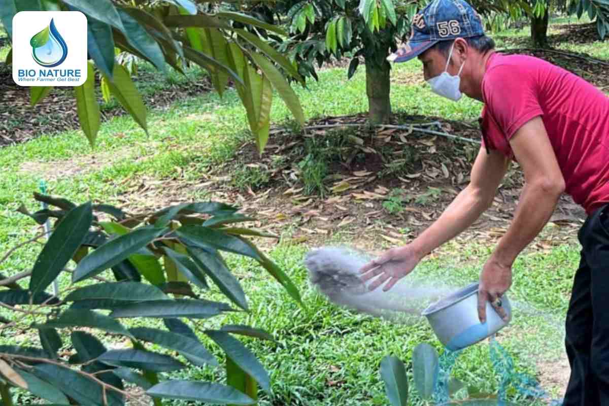 Kết hợp bón phân và châm phân tự động