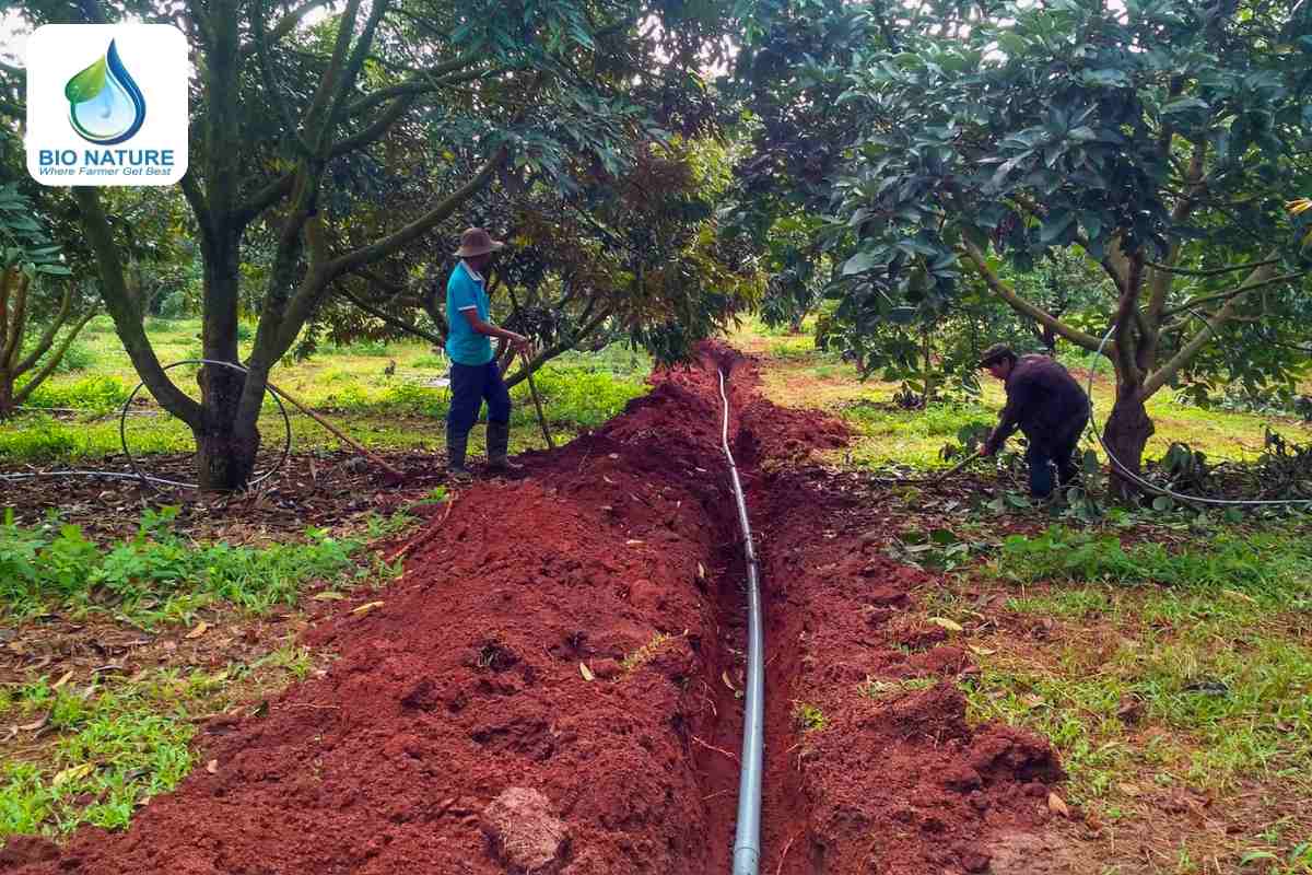 Kiểm soát lượng nước và áp lực