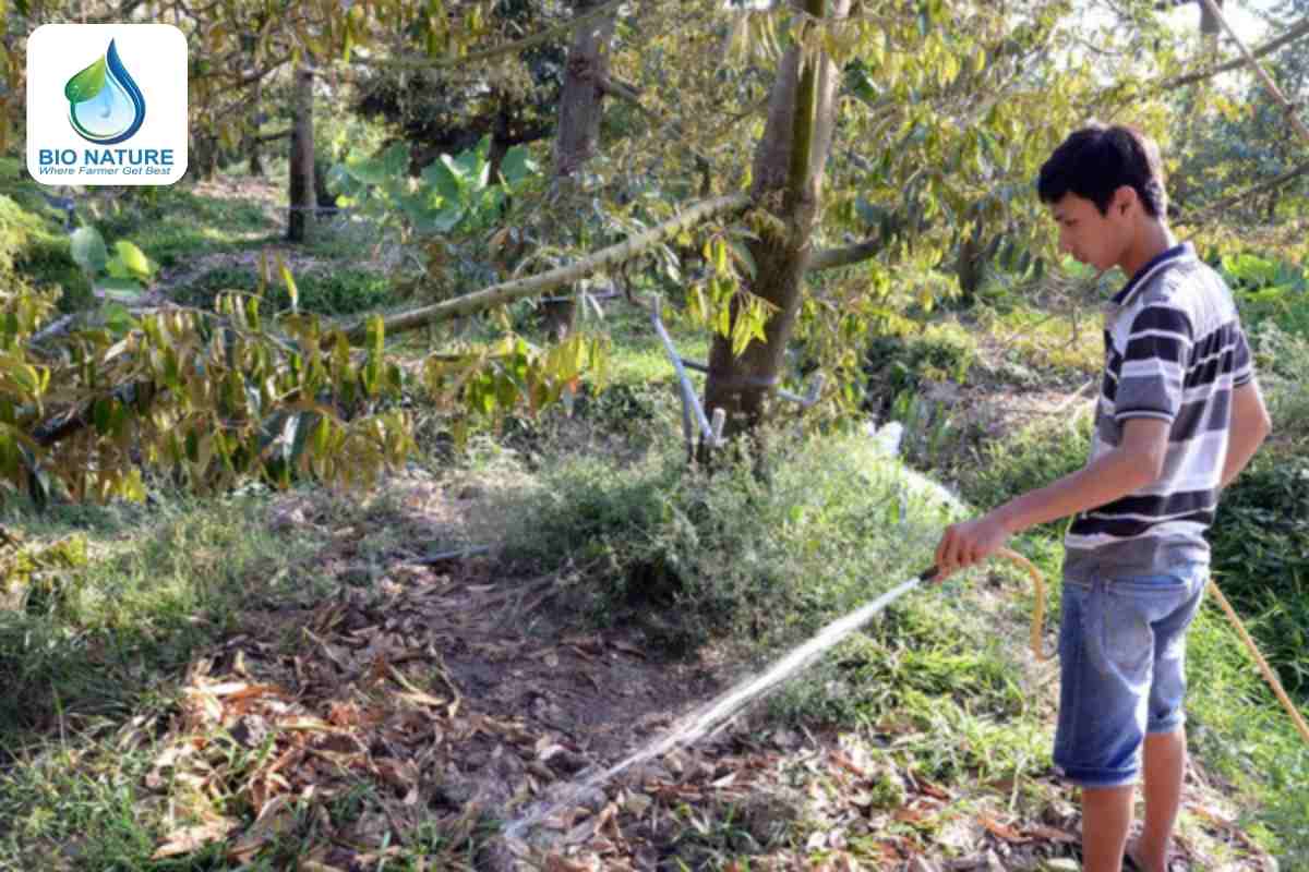 Tần suất và lượng nước tưới